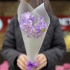 5 фиолетовых фрезий
